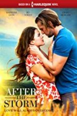 Watch After the Storm Gomovies