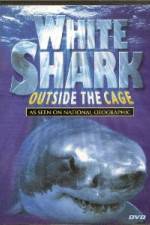 Watch National Geographic white shark:outside the cage Gomovies
