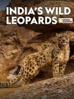 Watch India\'s Wild Leopards (Short 2020) Gomovies