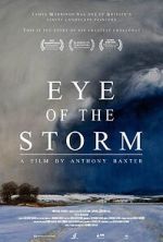 Watch Eye of the Storm Gomovies