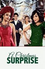 Watch A Christmas Surprise Gomovies