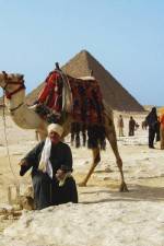 Watch From Pharaohs to Facebook Egypt Today Gomovies