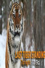 Watch Discovery Channel-Last Tiger Standing Gomovies