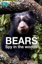 Watch Bears: Spy in the Woods Gomovies