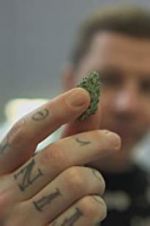 Watch Professor Green: Is It Time to Legalise Weed? Gomovies