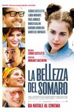 Watch La bellezza del somaro Gomovies