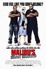 Watch Malibu's Most Wanted Gomovies