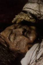 Watch The Separation Gomovies