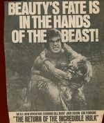 Watch The Return of the Incredible Hulk Gomovies