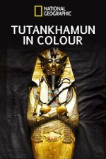 Watch King Tut in Color Gomovies