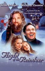 Watch The Christmas Secret Gomovies