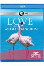 Watch Nature: Love in the Animal Kingdom Gomovies