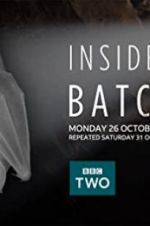 Watch Inside the Bat Cave Gomovies