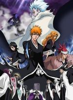 Watch Bleach the Movie 2: The Diamond Dust Rebellion Gomovies