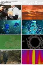 Watch National Geographic - How Life Began (2010) Gomovies