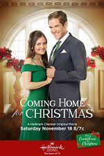Watch Coming Home for Christmas Gomovies