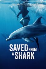 Watch Saved from a Shark Gomovies