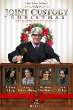 Watch A Joint Custody Christmas Gomovies