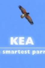 Watch Kea - The Smartest Parrot Gomovies