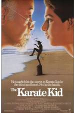 Watch The Karate Kid Gomovies