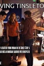 Watch Driving Tinseltown Gomovies