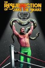 Watch The Resurrection of Jake The Snake Roberts Gomovies