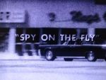 Watch Spy on the Fly (Short 1967) Gomovies