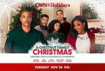 Watch A Chestnut Family Christmas Gomovies