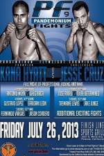 Watch Pandemonium Fights 9 Gomovies