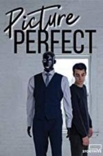Watch Picture Perfect Gomovies
