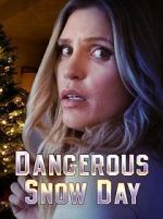 Watch Dangerous Snow Day Gomovies