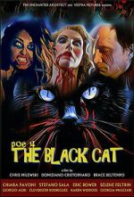 Watch POE 4: The Black Cat Gomovies