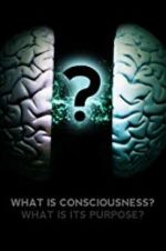 Watch What Is Consciousness? What Is Its Purpose? Gomovies