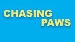 Watch Chasing Paws (Short 2020) Gomovies