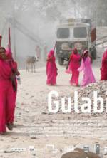 Watch Gulabi Gang Gomovies