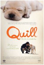 Watch Quill: The Life of a Guide Dog Gomovies