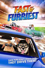 Watch Fast and Furriest Gomovies