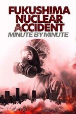 Watch Fukushima Nuclear Accident - Minute by minute Gomovies