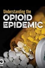 Watch Understanding the Opioid Epidemic Gomovies