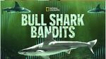 Watch Bull Shark Bandits Gomovies