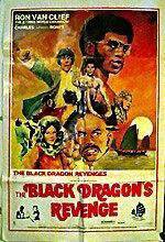 Watch The Black Dragon's Revenge Gomovies