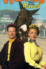 Watch Francis Goes to the Races Gomovies