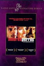 Watch Amores perros Gomovies