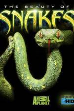 Watch The Beauty of Snakes Gomovies