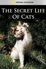 Watch The Secret Life of Cats Gomovies
