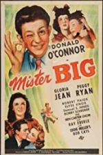 Watch Mister Big Gomovies