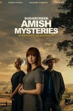 Watch Sugarcreek Amish Mysteries: Blessings in Disguise Gomovies123