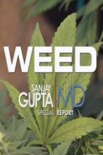Watch CNN Weed Sanjay Gupta Report Gomovies