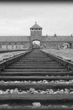 Watch AUSCHWITZ: ORDERS AND INITIATIVES Gomovies