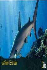 Watch National Geographic Wild - Lost Sharks of Easter Island Gomovies